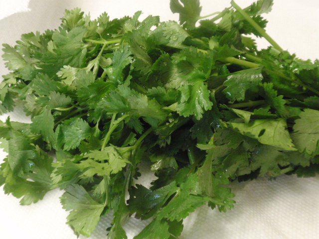 my local grocery store sells cilantro for 3 bunches for $1.  This is one bunch and is all I needed for this recipe