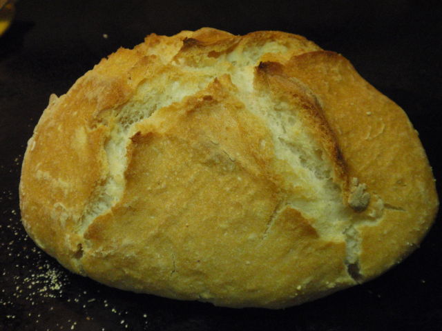 This is hands down the best bread I have ever made!